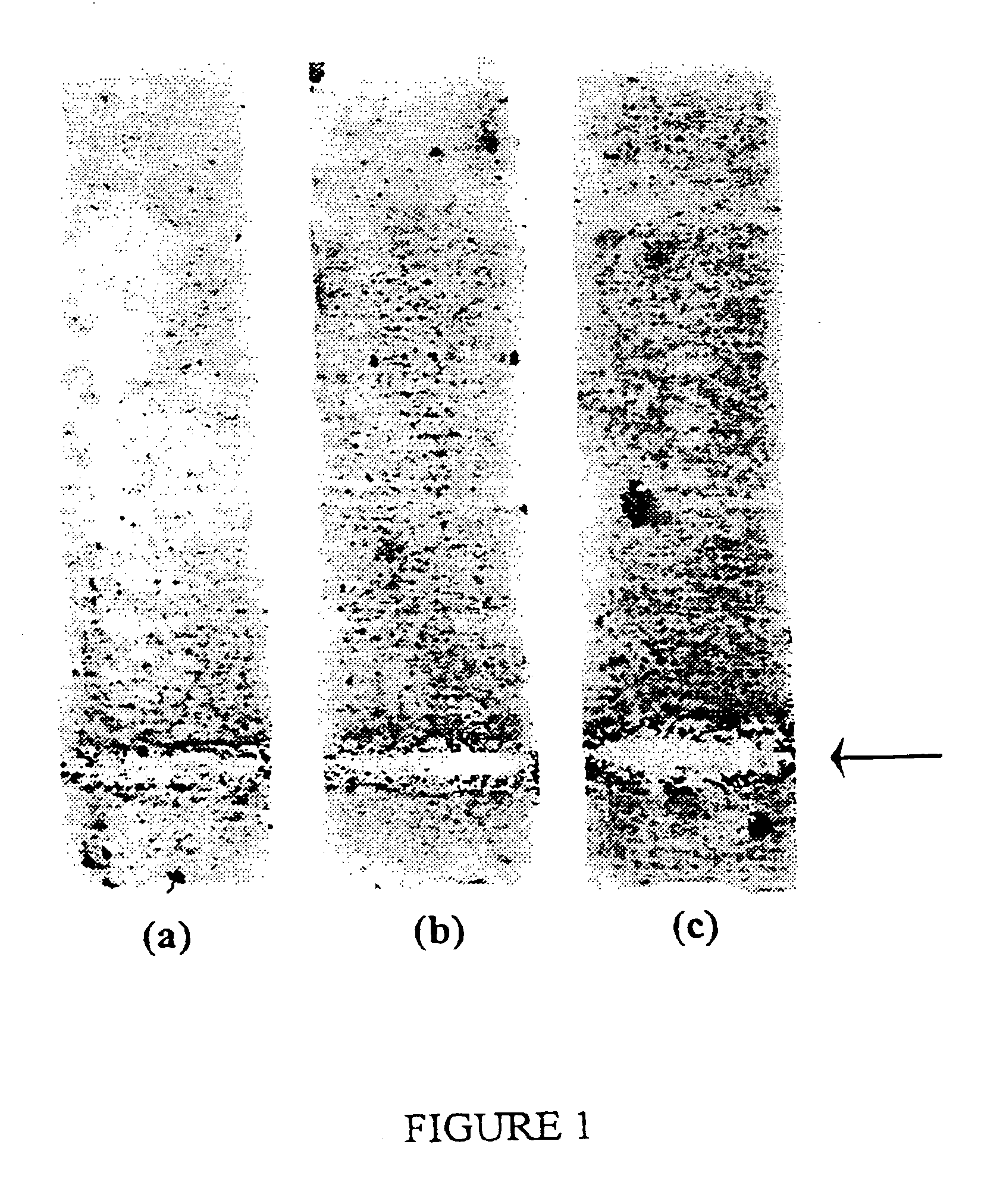 Method of controlling fungal pathogens, and agents useful for same