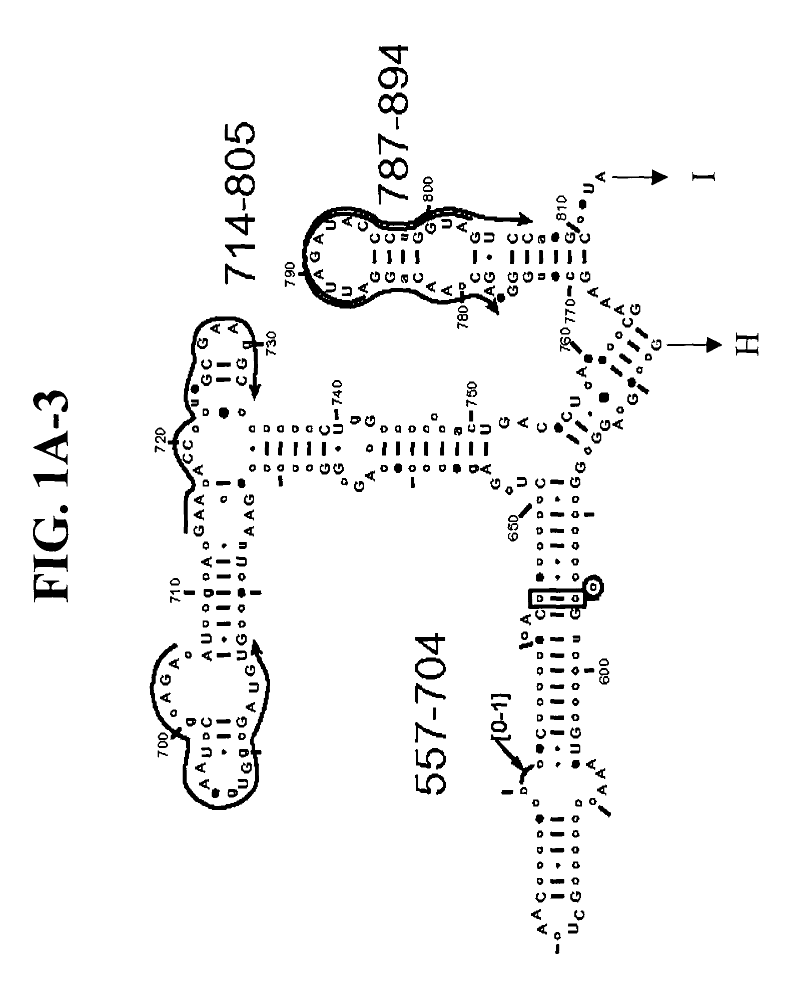 Methods for rapid detection and identification of bioagents for environmental and product testing