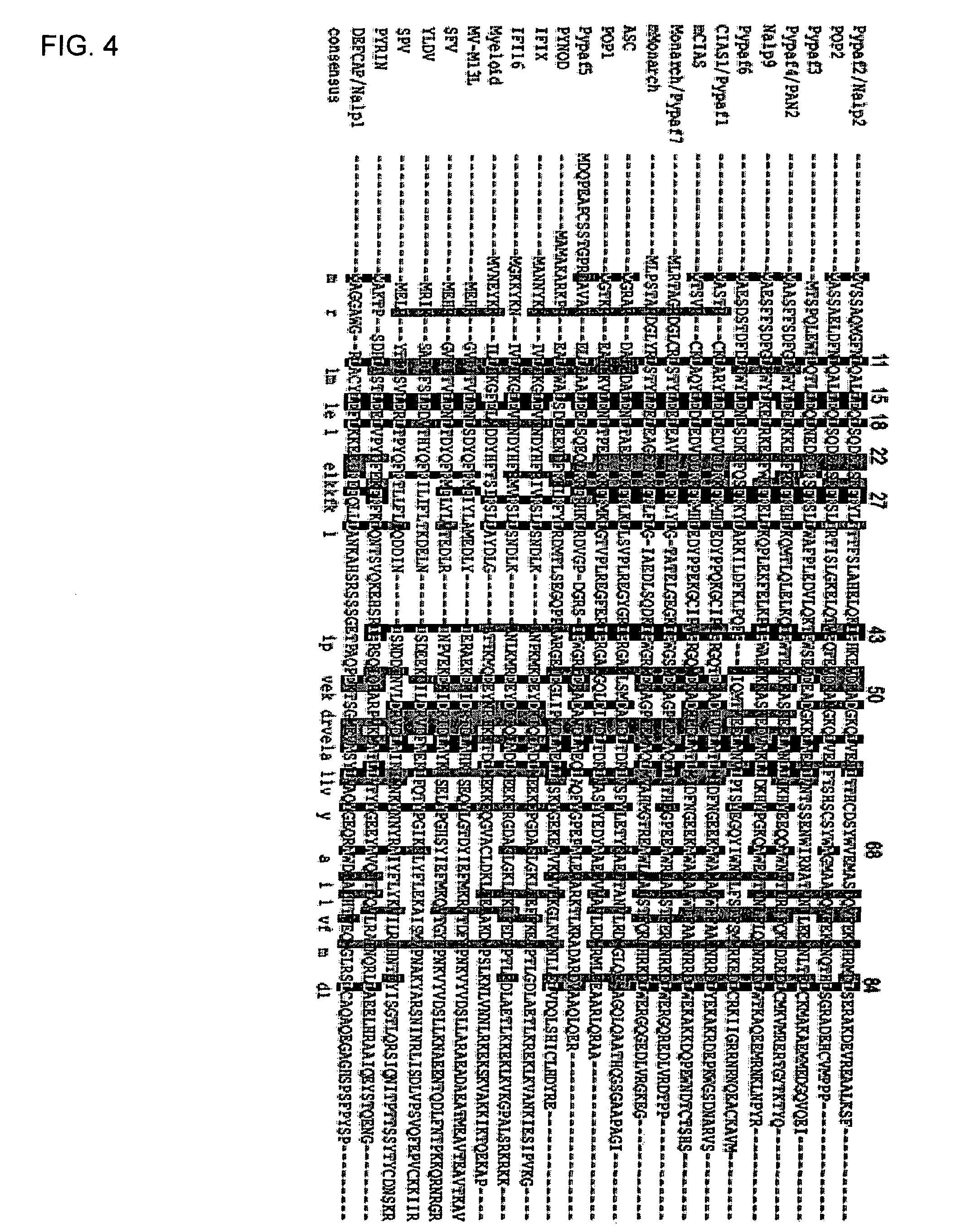 POP2: NKκB-inhibiting polypeptides, nucleic acids and methods of use