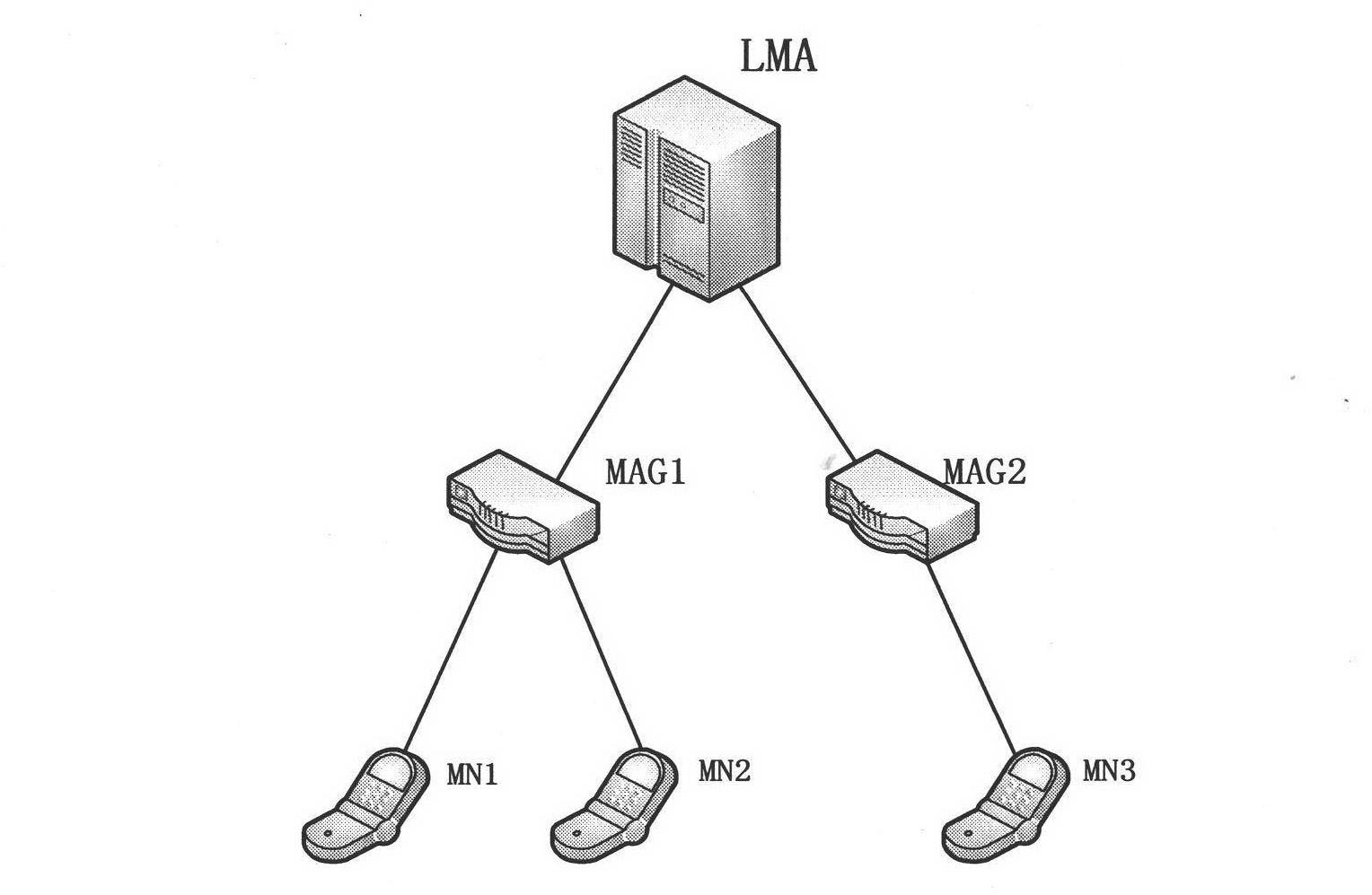 Intra-domain switching method for proxy mobile IPv6 (Internet protocol version 6) based on AAA server