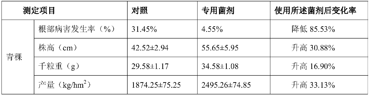 Special growth-promoting and pathogenic-bacterium-preventing agent for barley crops as well as preparation method and application of special growth-promoting and pathogenic-bacterium-preventing agent