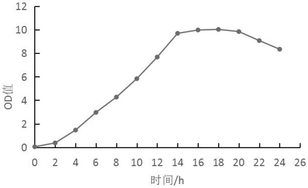 Bacillus subtilis and influence of bacillus subtilis on soil nutrient content and enzyme activity