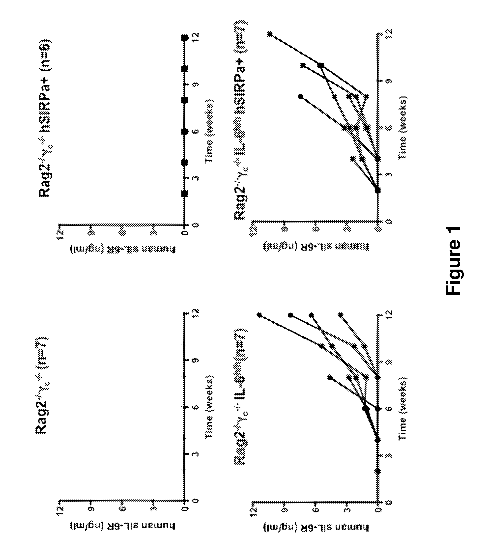 Genetically modified non-human animals and methods of use thereof