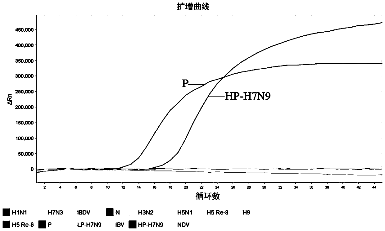 Fluorescent RT-PCR primer, probe and method for detecting highly pathogenic H7N9 avian influenza virus