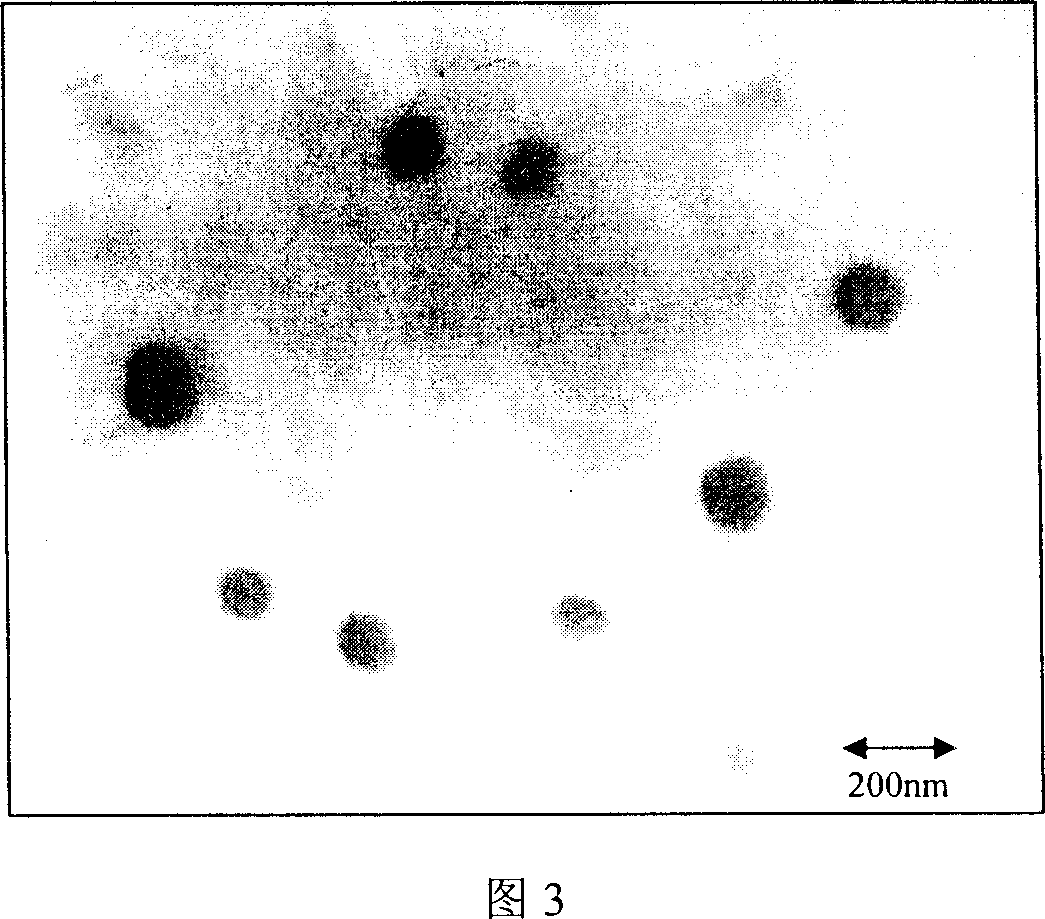 Amphipathic fluorescence target nano micelle and its preparation method