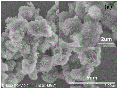 Preparation method for flower-like Ag2CO3/Mg-Al-NO3 LDHs nanometer material