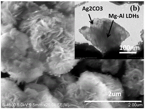 Preparation method for flower-like Ag2CO3/Mg-Al-NO3 LDHs nanometer material