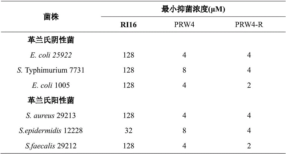 Imperfect amphiphilic antimicrobial peptide PRW4-R and preparation method and application thereof