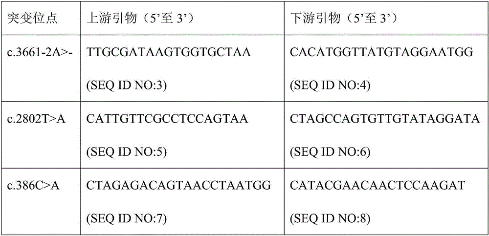 Novel MMAF (multiple morphological abnormalities of the sperm flagella) pathogenic gene and application thereof