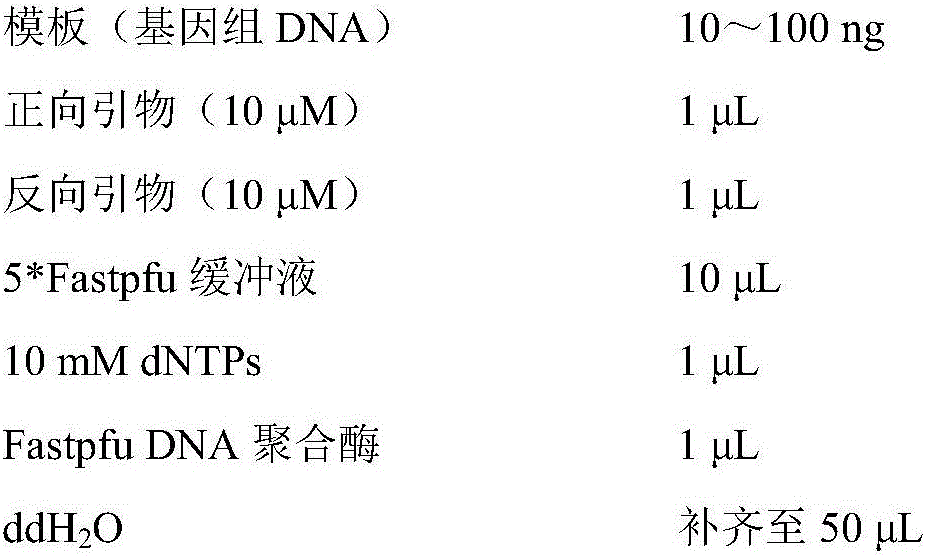 Novel MMAF (multiple morphological abnormalities of the sperm flagella) pathogenic gene and application thereof