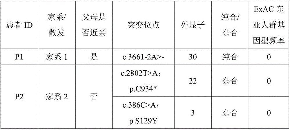 Novel MMAF (multiple morphological abnormalities of the sperm flagella) pathogenic gene and application thereof