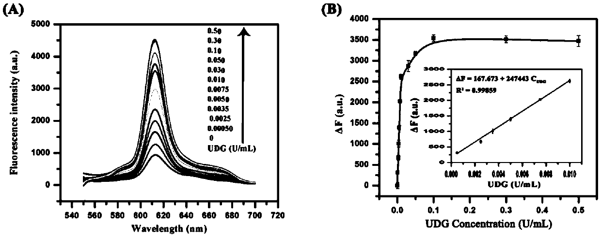 Method for parallel determination of activity of uracil-DNA glycosylase and endonuclease IV, application thereof and reagent kit