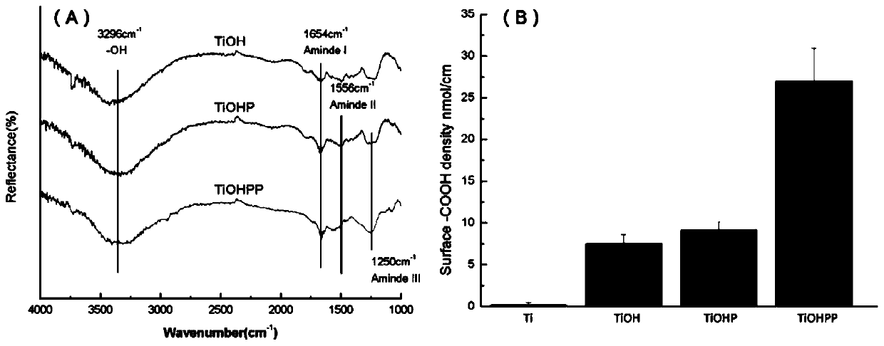 Method for forming albumen layer by mediating albumin on surface of material, biological material and application thereof