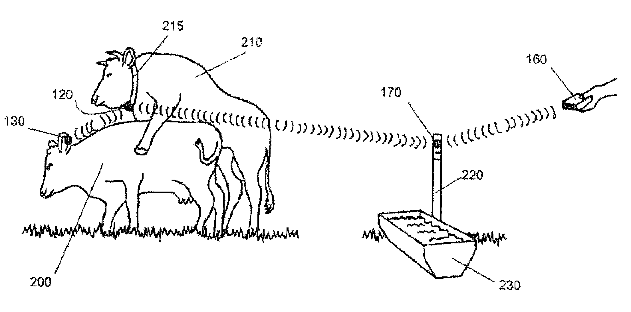 Livestock breeding and management system