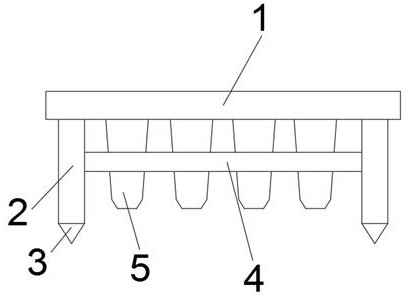 Excellent planting method of selenium-enriched Moringa