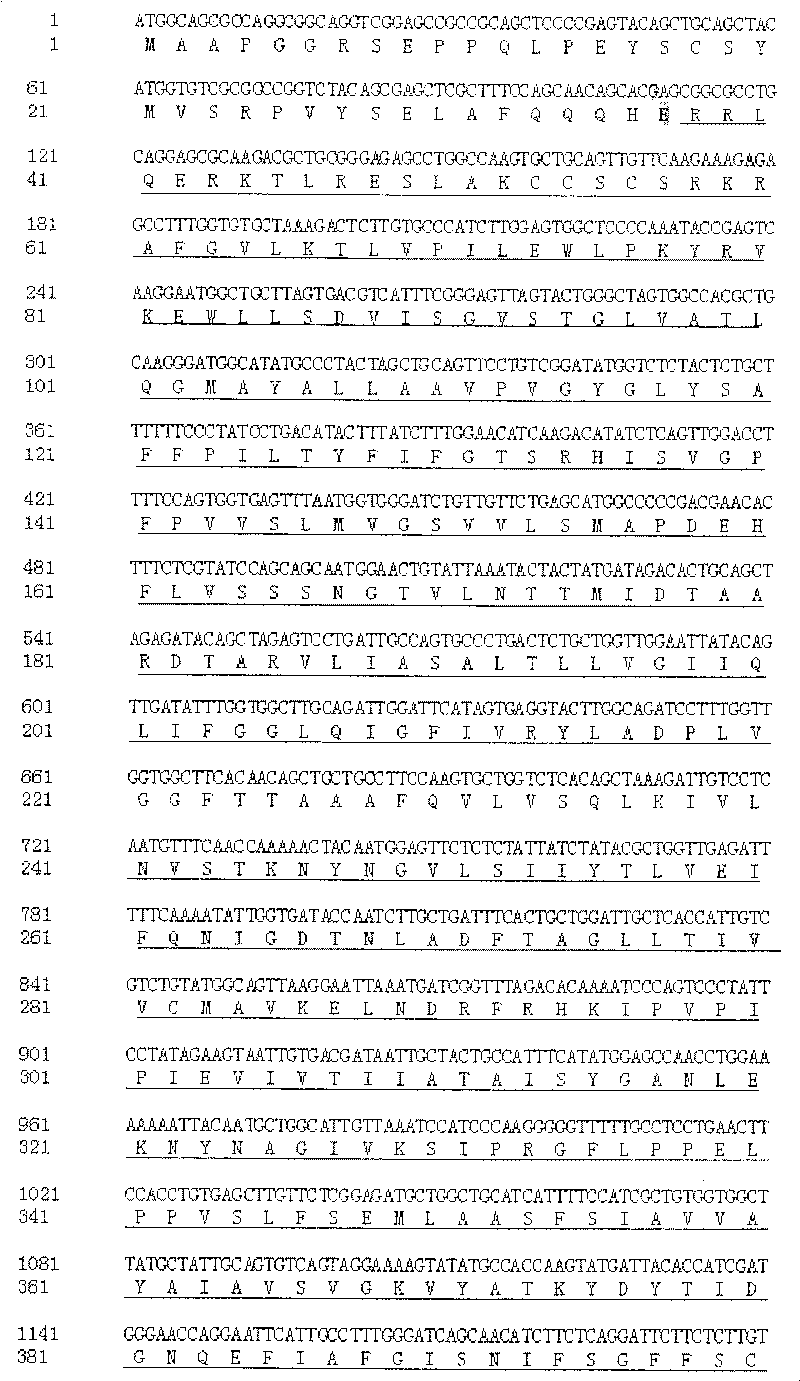 Kit for detecting 227C&gt;T mutation of vestibule water conduit enlargement interrelated gene SLC26A4