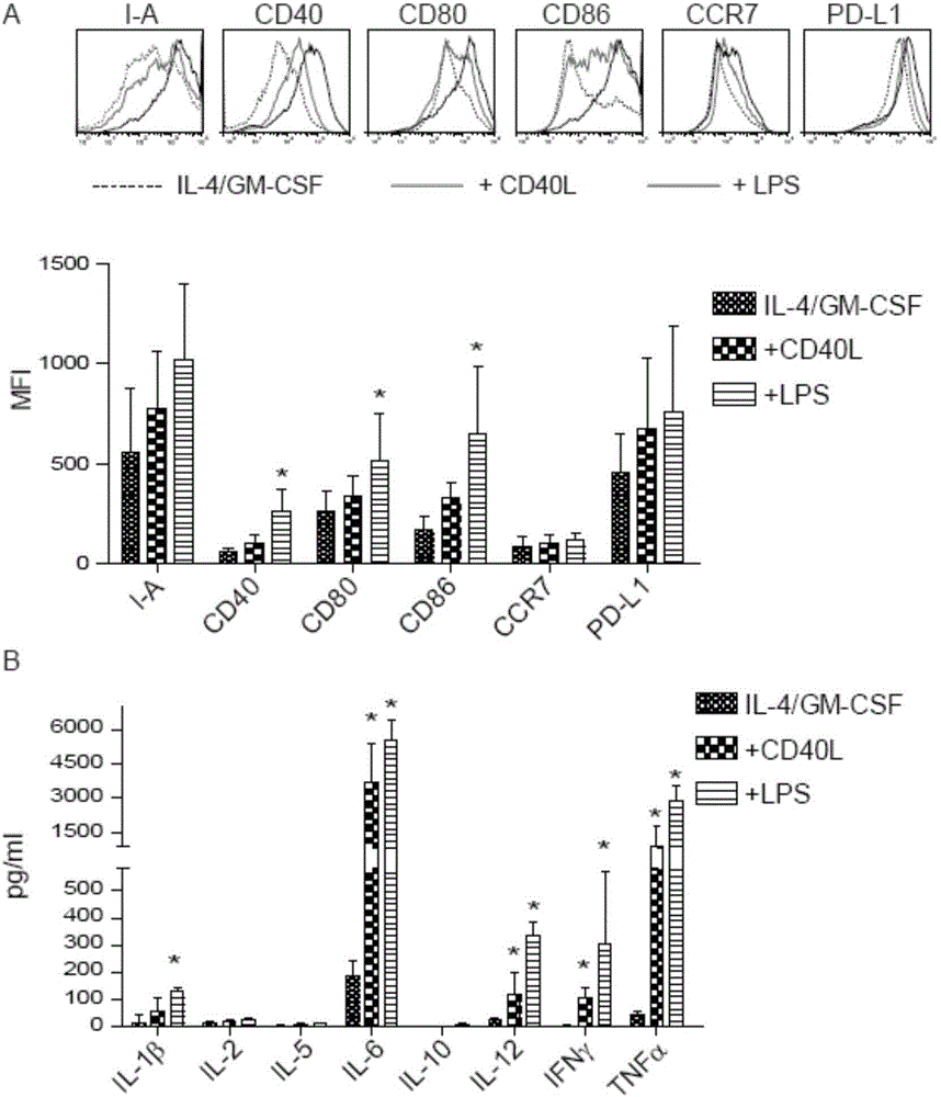 Anti-tumor T cell as well as preparation method and anti-tumor drug thereof