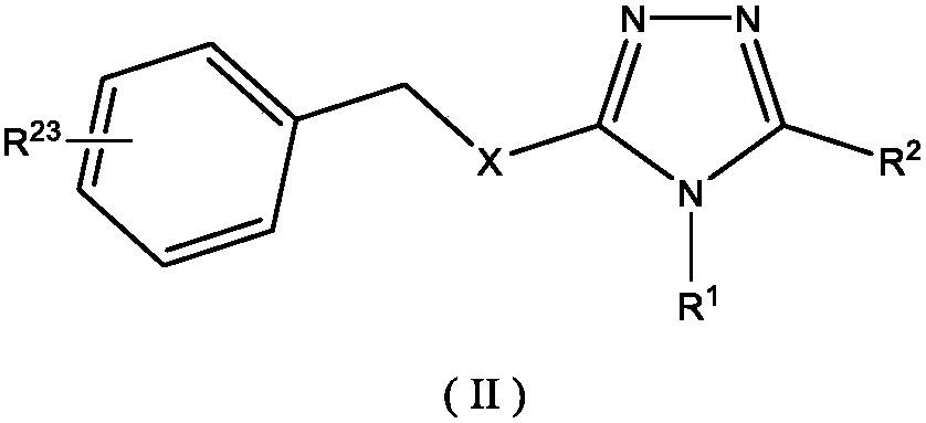 Triazole derivative, preparation method and uses thereof