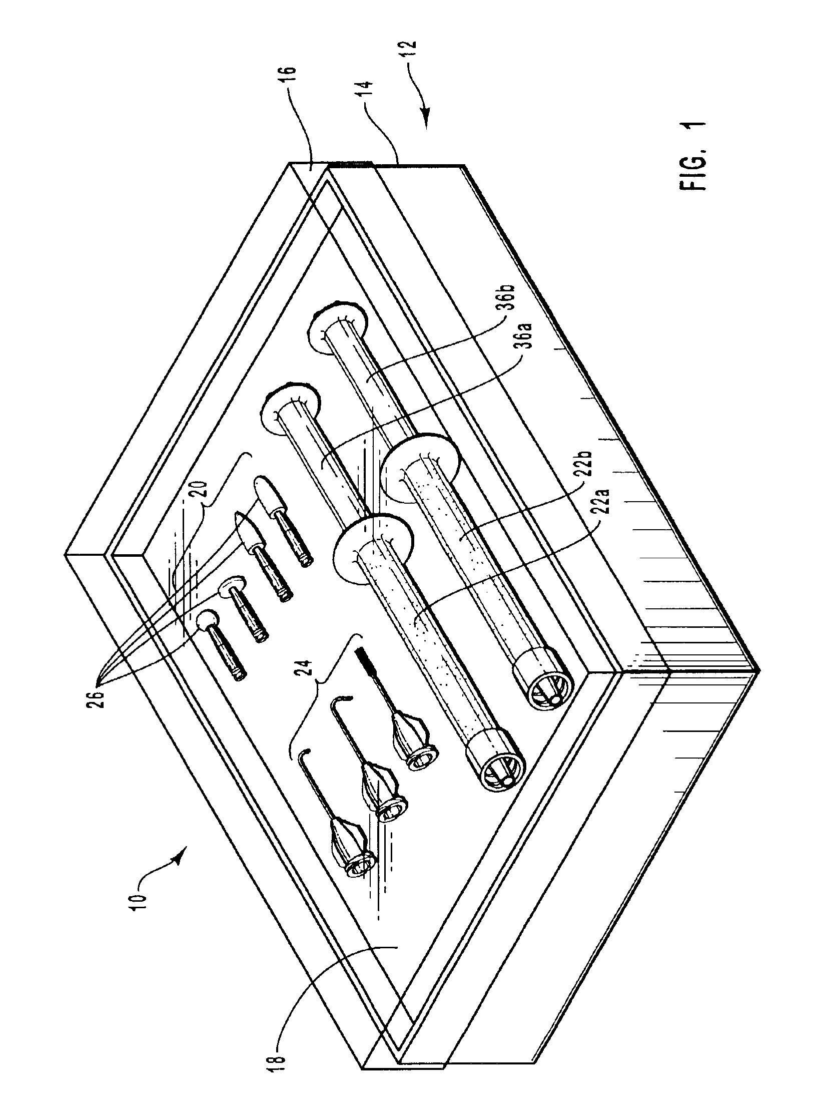 Dental renewal kit and method for renewing a patient's teeth