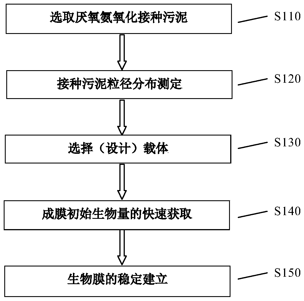 Method for establishing high-quality anaerobic ammonia oxidation biological membrane