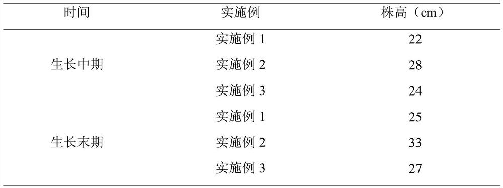 Method for preparing agricultural enzyme from kitchen waste, prepared agricultural enzyme and application of agricultural enzyme