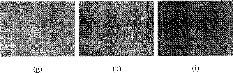 Method for separating heart stem cells from brown fat and splitting cardioblast