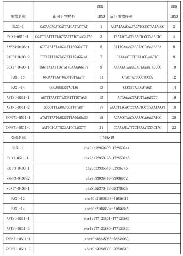 Methylated primer, kit, model and construction method for cervical cancer related genes