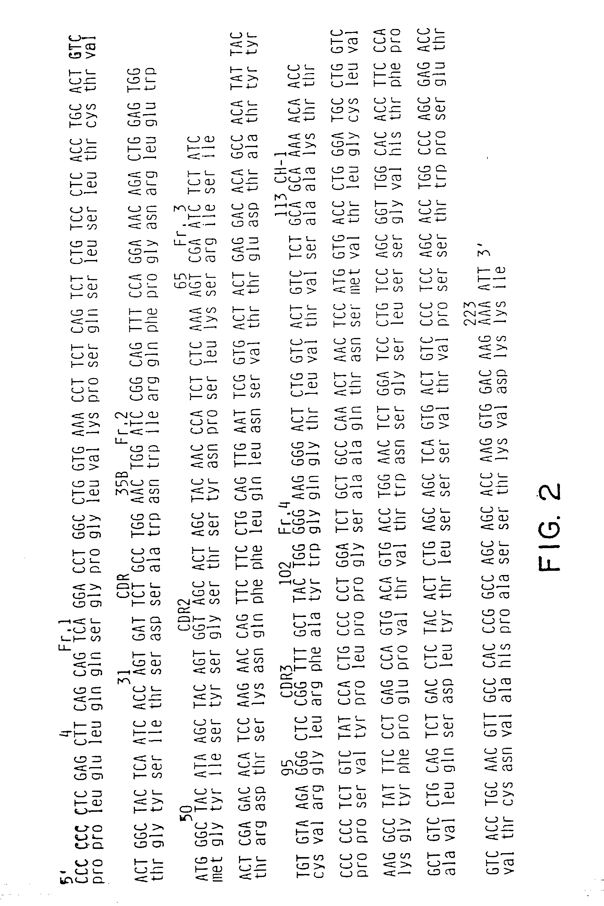 Methods and compositions for inhibiting CD14 mediated cell activation