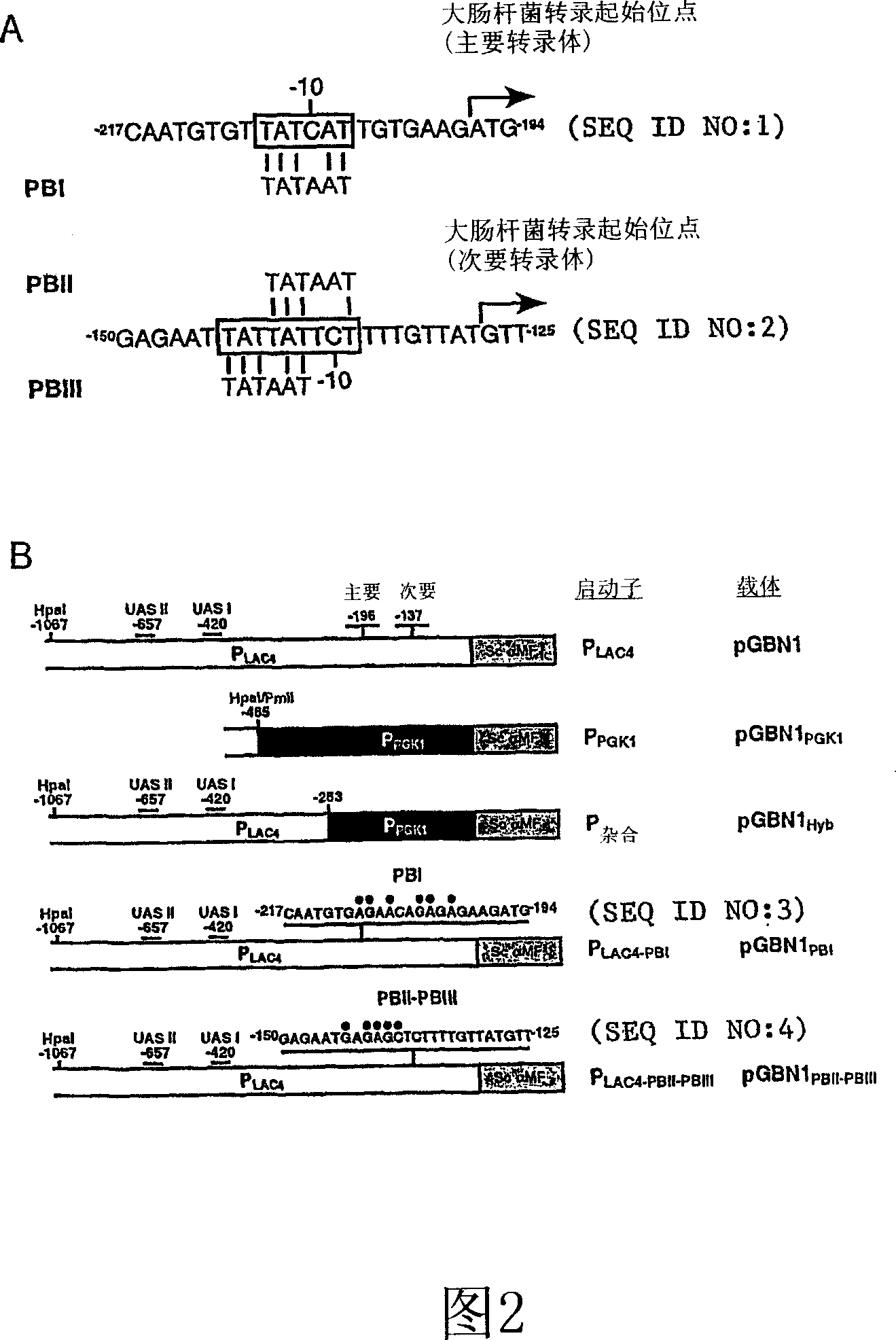 Method for construction and use of kluyveromyces lactis promoter variants in k. lactis that substantially lack e. coli transcriptional capability