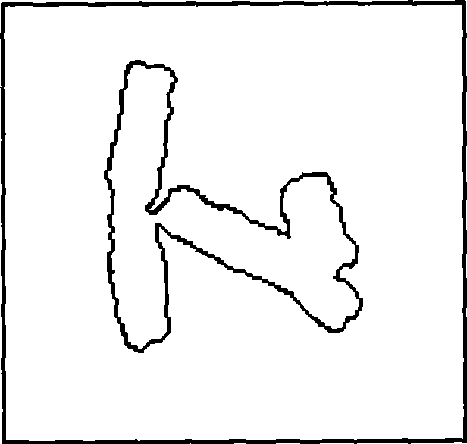 Method for detecting and extracting chromosome contour based on directional searching