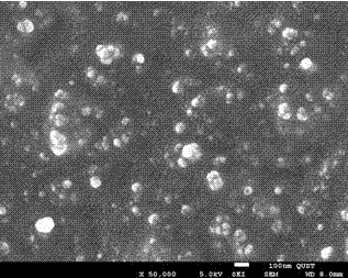 Preparation method of pre-dispersed carbon nano-tube rubber masterbatches