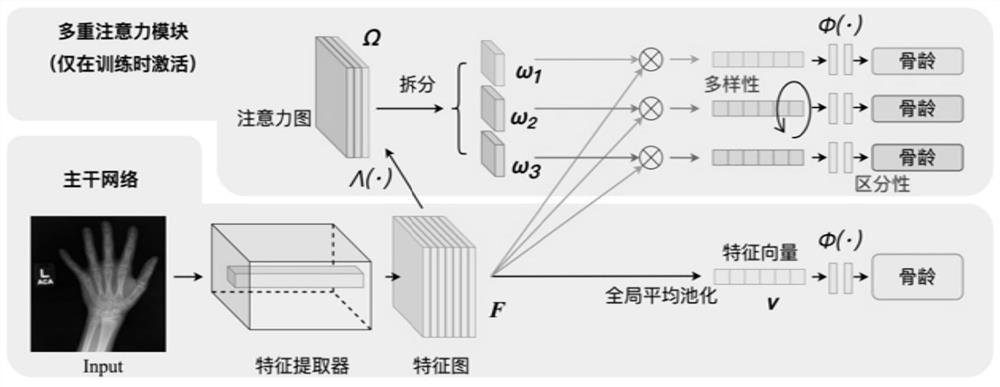 Bone age evaluation method based on convolutional neural network and multiple attention mechanism