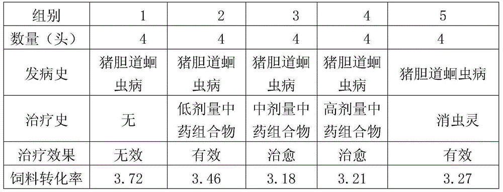 Traditional Chinese medicine composition for treating pig biliary tract ascariasis and preparation method thereof