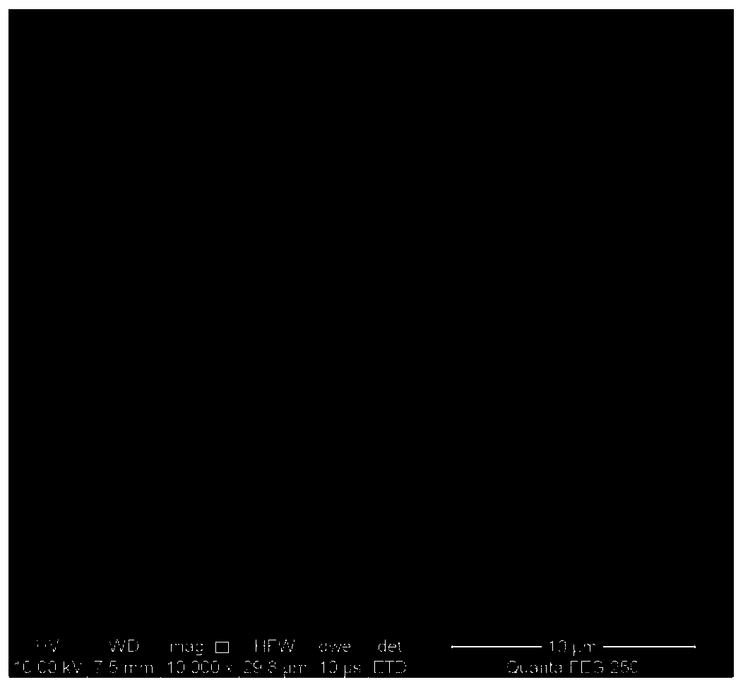 Nickel or nickel alloy porous material with directional holes, preparation method thereof and application thereof in a hydrogen evolution electrode