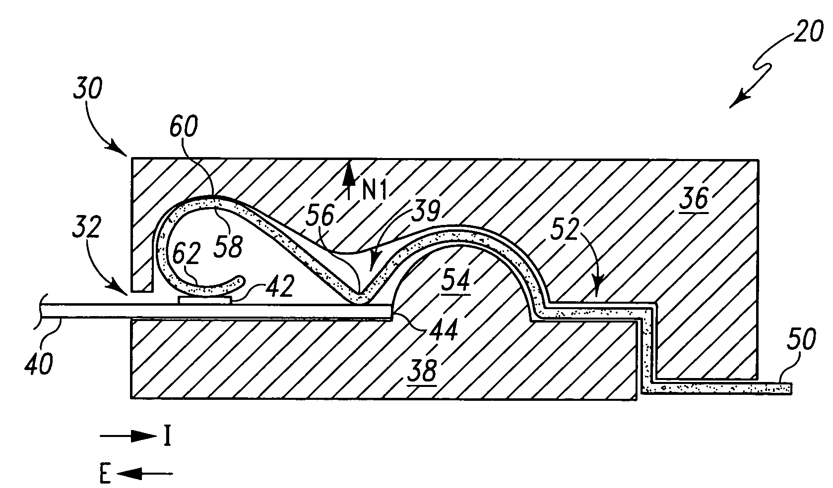 Biological testing system