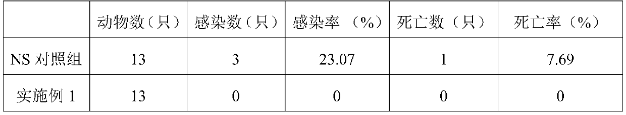 Ice crystal for scald containing polygonum cuspidatum root and phellodendron bark extracts and preparation method thereof