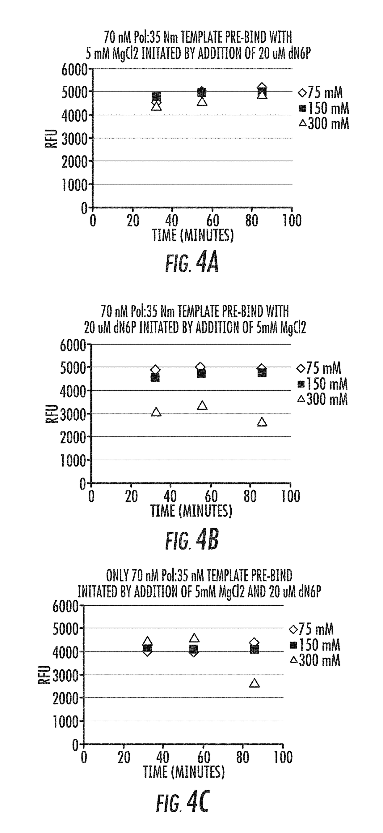 Polymerase-template complexes