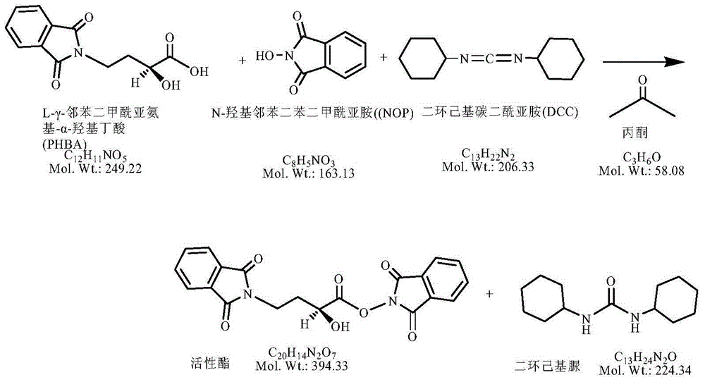 Method for increasing yield of amikacin