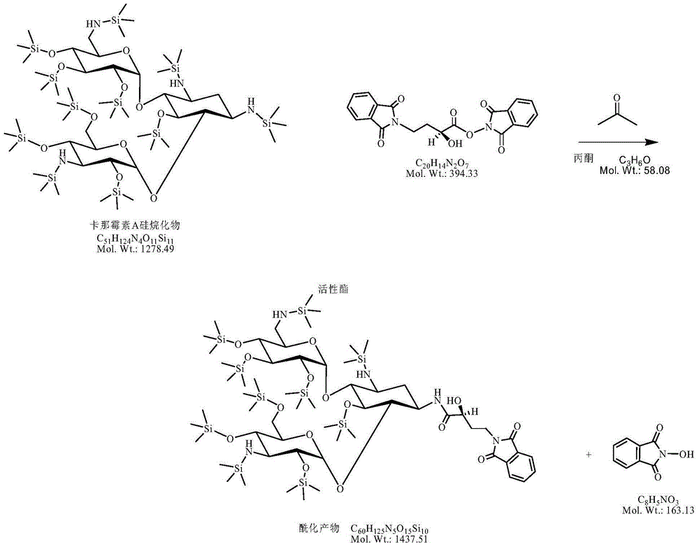 Method for increasing yield of amikacin