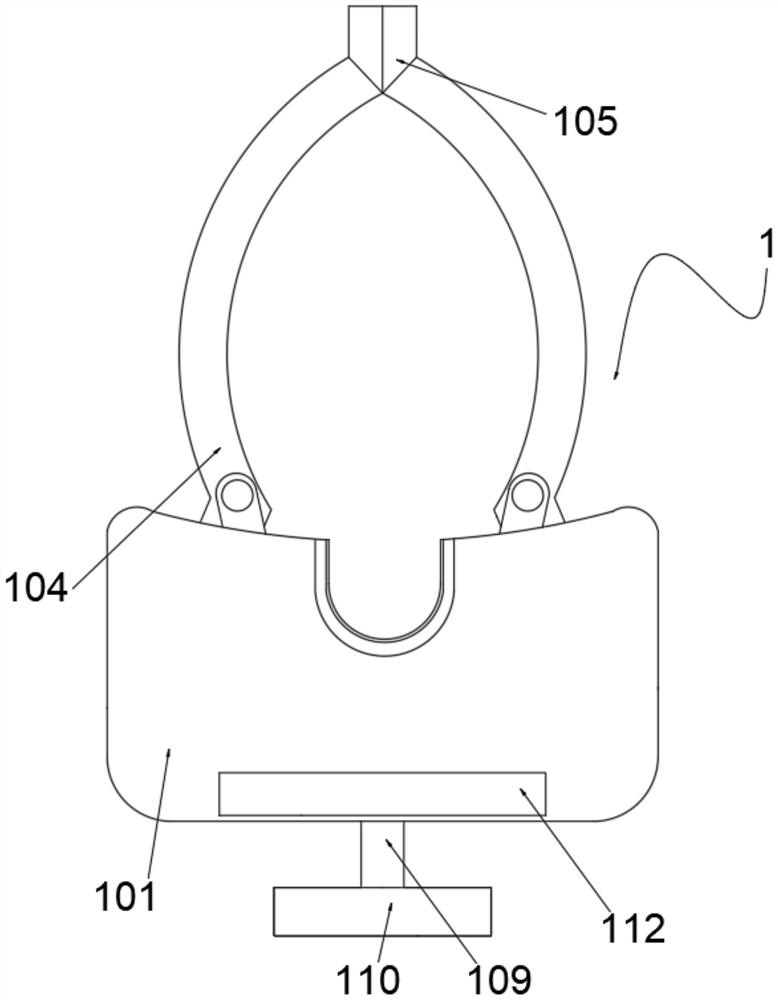 Clinical postoperative analgesia and hemostasis device for anorectal department and use method