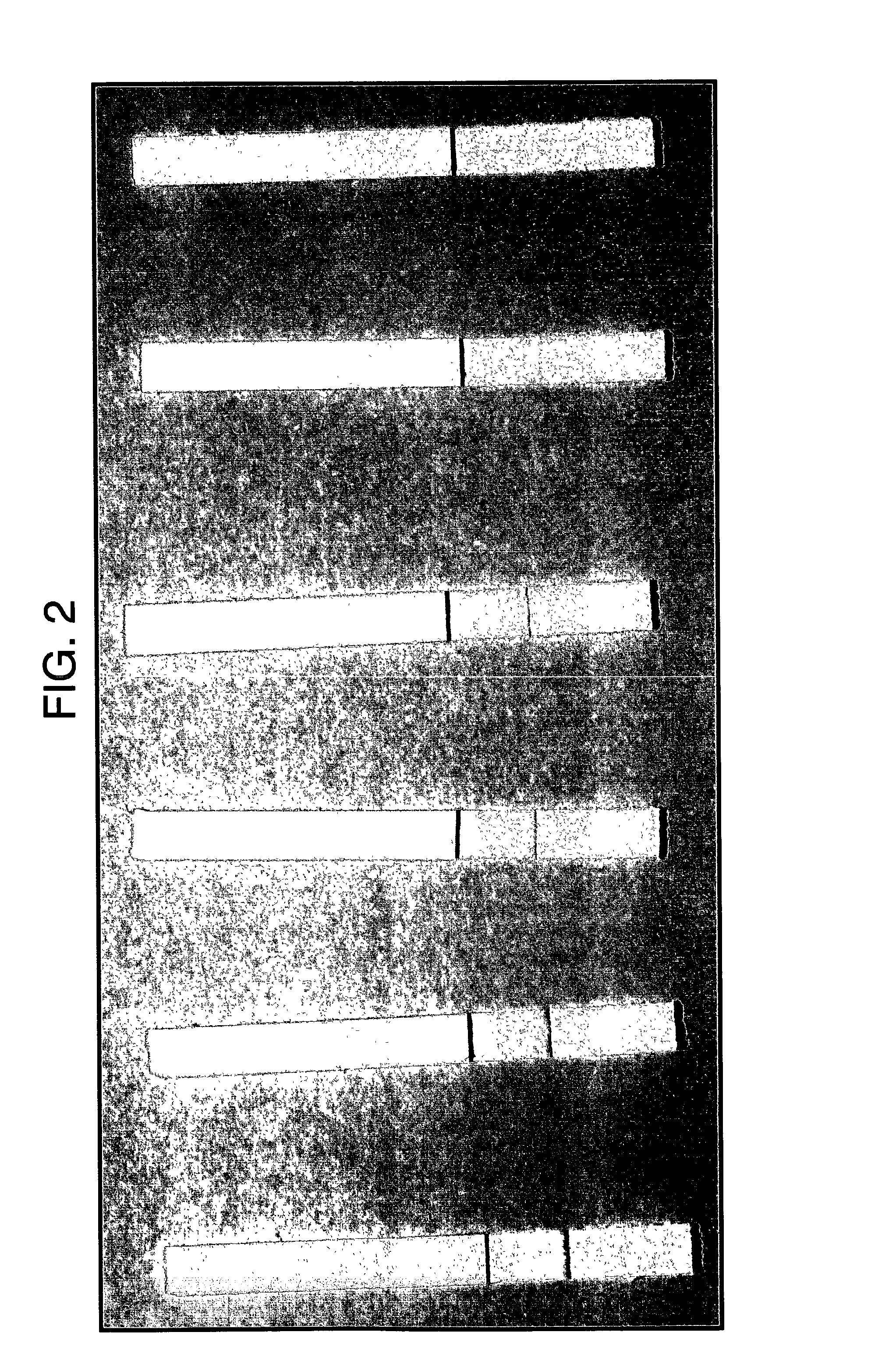 Assay using porosity-reduction to inhibit migration