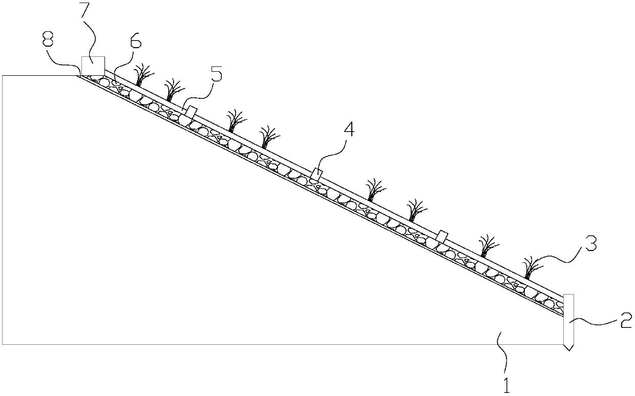 Slope protection structure for side slope