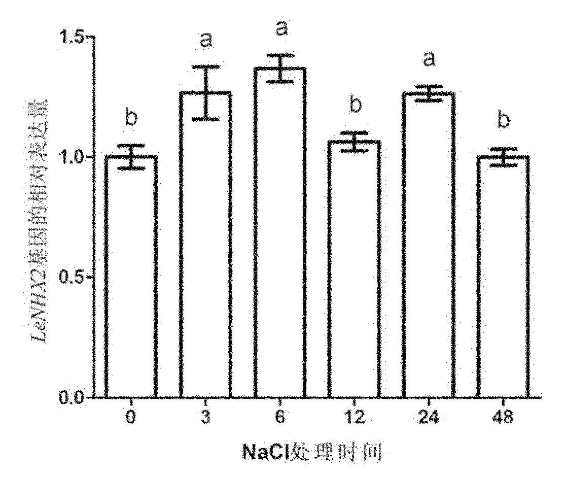 Method for identifying salt resisting function of gene