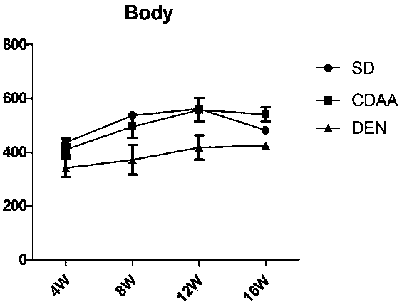 Rat culture method for transforming nonalcoholic steatohepatitis into hepatocellular carcinoma and application of method