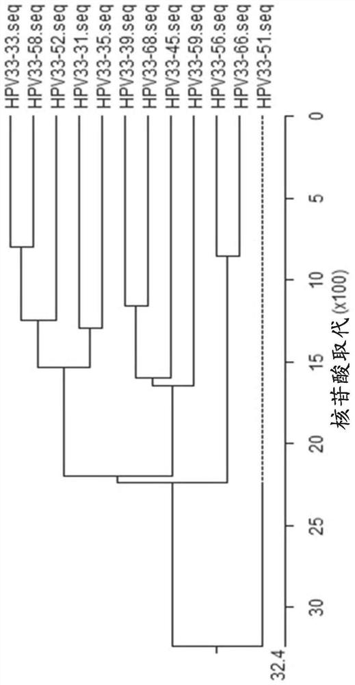 Compositions and methods for detecting human papillomavirus