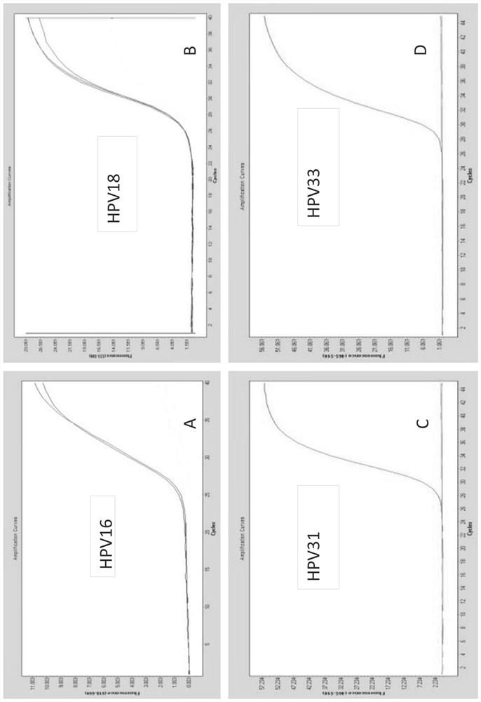 Compositions and methods for detecting human papillomavirus