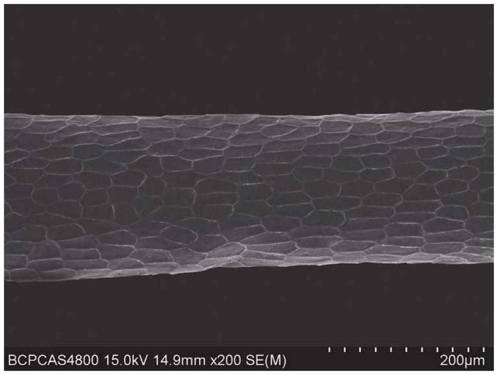 Protective agent for animal skin and its preparation method