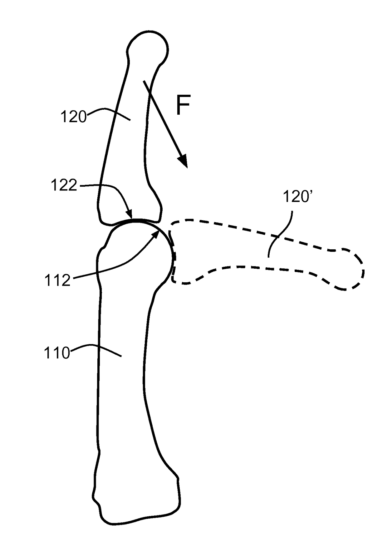 Anatomical Robot