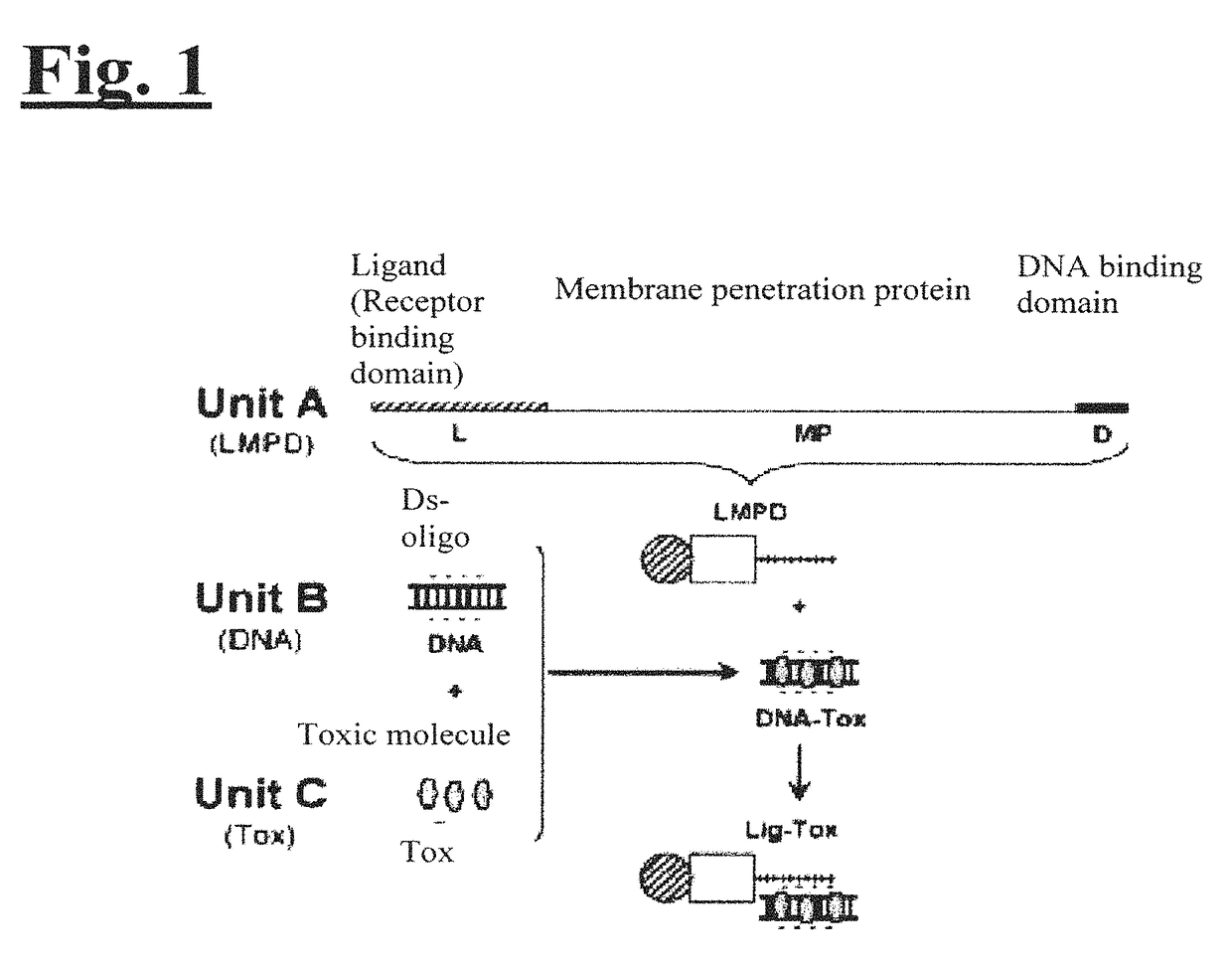 Targeting trastuzumab-resistant HER2+ breast cancer with a HER3-targeting nanoparticle