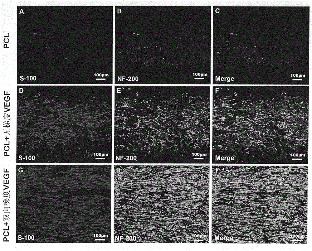 Preparation method of bidirectional gradient vascular endothelial growth factor (VEGF) by virtue of nerve conduit